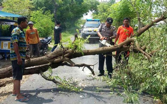 Lagi, Hujan dan Angin Kencang Terjang Pamekasan