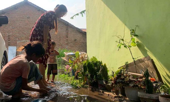 Kekeringan di Jember Semakin Luas Kekeringan di Jember Semakin Luas