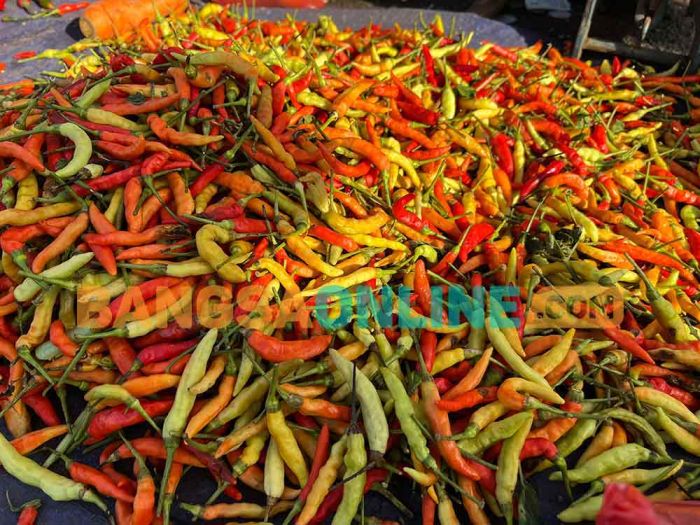 Cabai Rawit Semakin Meroket, Rata-rata Harga Pangan Nasional Hari Ini Fluktuatif