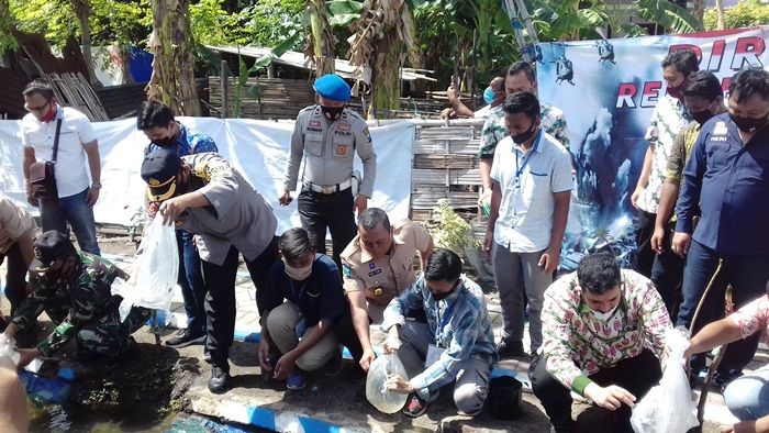 Kapolres dan Wali Kota Probolinggo Tebar Ribuan Bibit Ikan Nila di Kali Wirosecang Kapolres dan Wali Kota Probolinggo Tebar Ribuan Bibit Ikan Nila di Kali Wirosecang