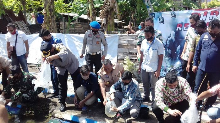 ​Kapolres dan Wali Kota Probolinggo Tebar Ribuan Bibit Ikan Nila di Kali Wirosecang