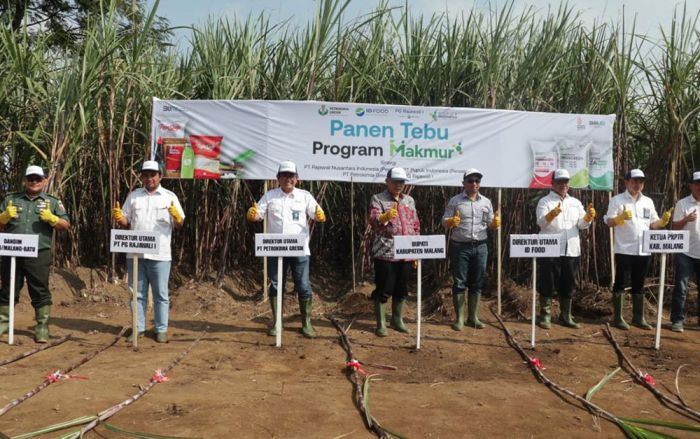 Kolaborasi Petrokimia dengan PG Rajawali Sukses Tingkatkan Pendapatan Petani Tebu di Malang Kolaborasi Petrokimia dengan PG Rajawali Sukses Tingkatkan Pendapatan Petani Tebu di Malang