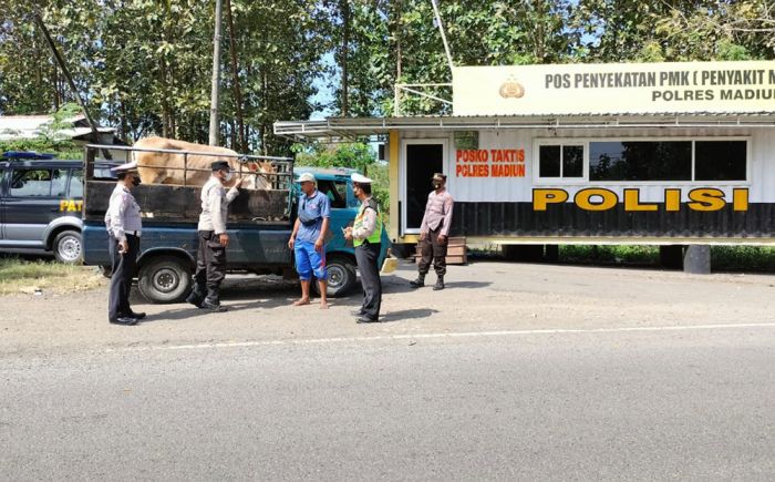 Angkut Hewan Masuk Wilayah Kabupaten Madiun Wajib Punya SKKH