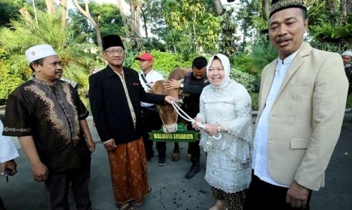 Idul Adha 2019, Pemkot Surabaya Kurban 16 Sapi dan 44 Kambing Idul Adha 2019, Pemkot Surabaya Kurban 16 Sapi dan 44 Kambing