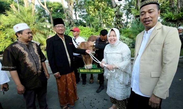 Idul Adha 2019, Pemkot Surabaya Kurban 16 Sapi dan 44 Kambing