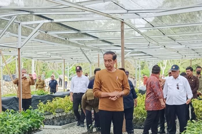Jokowi Sebut Komitmen Indonesia Terhadap Lingkungan Dimulai dari IKN Jokowi Sebut Komitmen Indonesia Terhadap Lingkungan Dimulai dari IKN
