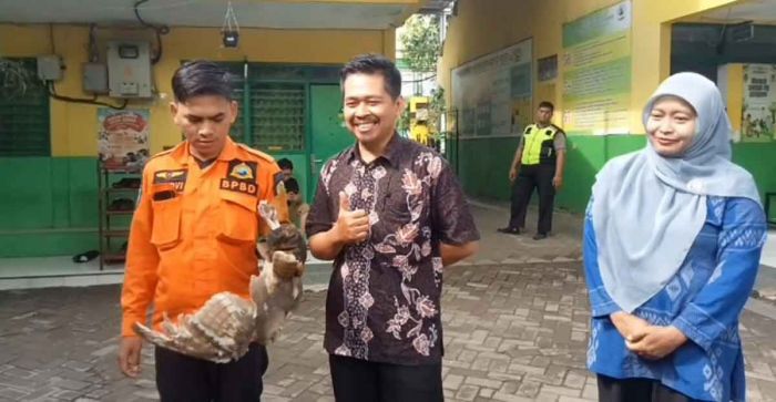 Damkar Kota Pasuruan Evakuasi Burung Hantu Terjerat Benang Layangan