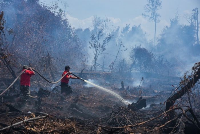 3 Wilayah Paling Parah Terpapar Kabut Asap, Ada Pekanbaru 3 Wilayah Paling Parah Terpapar Kabut Asap, Ada Pekanbaru