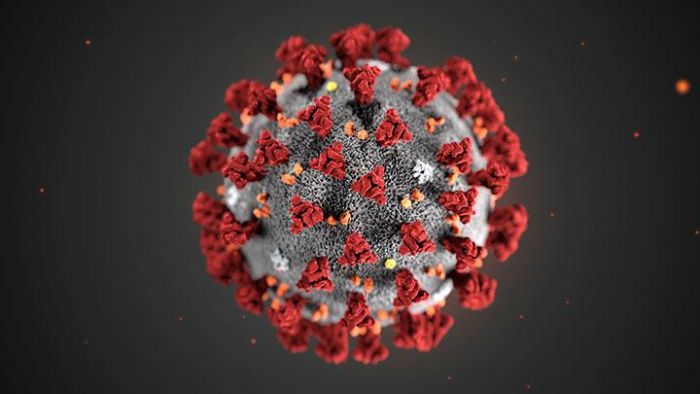 Siaga Serangan Coronavirus, Dinkes Pacitan Bentuk Kader Posyandu Tiap Desa Siaga Serangan Coronavirus, Dinkes Pacitan Bentuk Kader Posyandu Tiap Desa