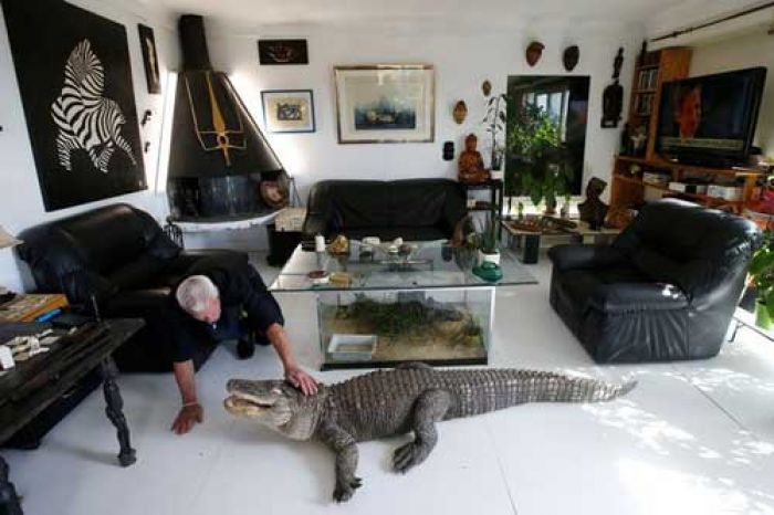 Pria Ini Hidup dengan 400 Reptil, Tidur dengan Buaya Pria Ini Hidup dengan 400 Reptil, Tidur dengan Buaya
