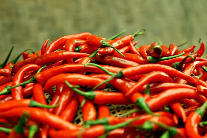 Cabe Terus Merangkak, Berikut Daftar Harga Sembako Jatim 2 Januari 2025 Cabe Terus Merangkak, Berikut Daftar Harga Sembako Jatim 2 Januari 2025
