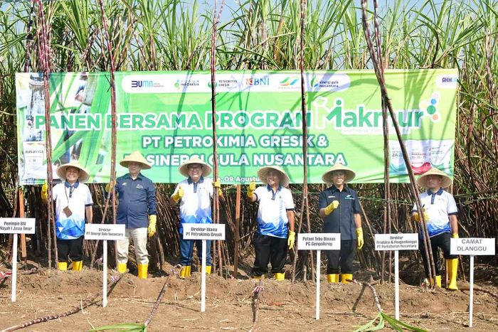 Melalui Program Makmur Menteri BUMN, Petrokimia Gresik Berhasil Makmurkan 21 Ribu Lebih Petani