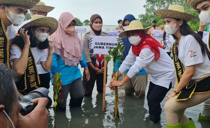 Jaga Ekosistem Mangrove, Gubernur Jatim Ajak Semua Stakeholder Nandur Mangrove