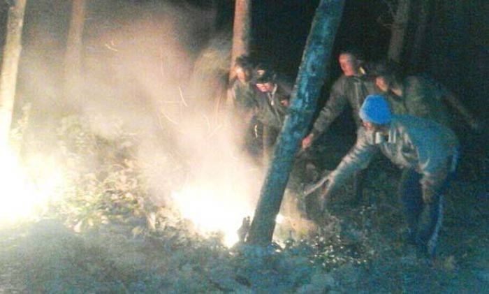 Hutan Jati Magersari, Nganjuk Terbakar, Danramil Bantu Padamkan Api Hutan Jati Magersari, Nganjuk Terbakar, Danramil Bantu Padamkan Api