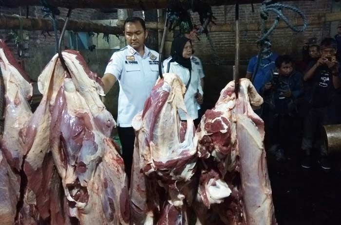 Tim Gabungan Kembali Menggerebek Lokasi Dugaan Penggelonggongan Sapi di Sidoarjo Tim Gabungan Kembali Menggerebek Lokasi Dugaan Penggelonggongan Sapi di Sidoarjo