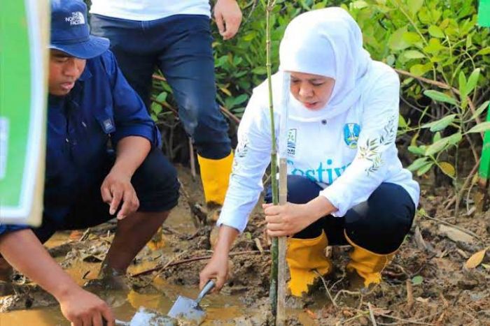 Peringati Hari Gerakan Sejuta Pohon, Khofifah Ajak Masyarakat untuk Sedekah Oksigen Peringati Hari Gerakan Sejuta Pohon, Khofifah Ajak Masyarakat untuk Sedekah Oksigen