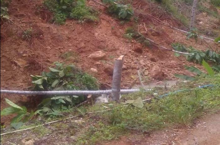 Banjir dan Longsor di Pacitan Bukan karena Minimnya Vegetasi Hutan Banjir dan Longsor di Pacitan Bukan karena Minimnya Vegetasi Hutan