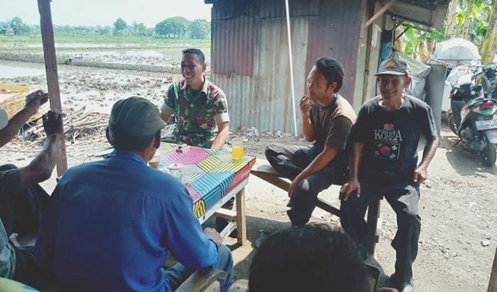 Datang ke Lahan Pertanian Warga, Babinsa Kenjeran Disambut Petani