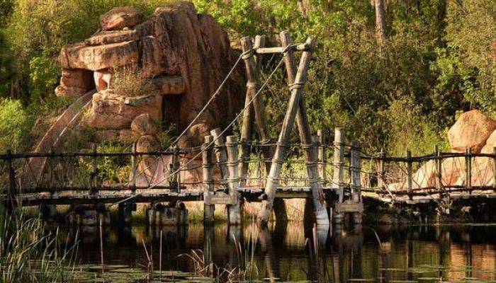Usai Ditemukan Bocah Tewas Membusuk, Taman Air Disney Mangkrak 15 Tahun Usai Ditemukan Bocah Tewas Membusuk, Taman Air Disney Mangkrak 15 Tahun