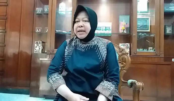 Peduli Kawasan Wisata Ampel, Risma Siap Pindahkan RPH Pegirian ke Tandes Peduli Kawasan Wisata Ampel, Risma Siap Pindahkan RPH Pegirian ke Tandes