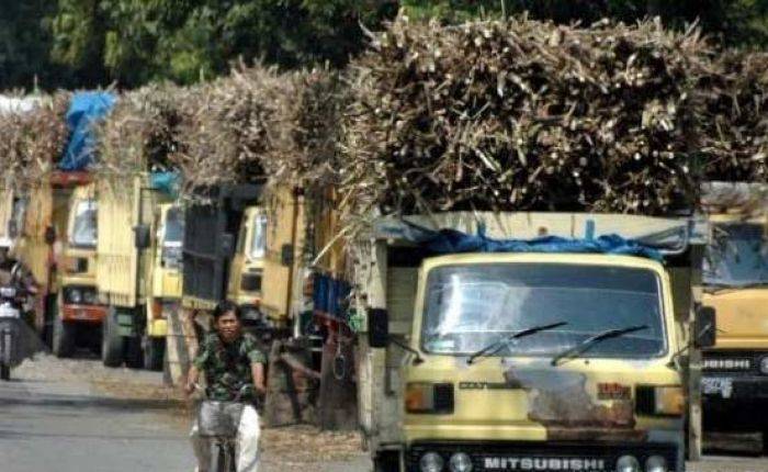 Pembangkit Listrik Tenaga Ampas Tebu Ditarget Mulai Beroperasi 2018 Pembangkit Listrik Tenaga Ampas Tebu Ditarget Mulai Beroperasi 2018