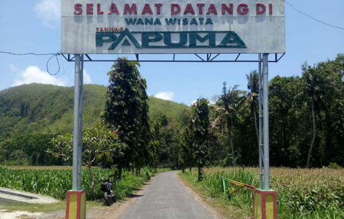 Perbaikan Rampung, Kini Jalan Menuju Papuma Mulus Perbaikan Rampung, Kini Jalan Menuju Papuma Mulus