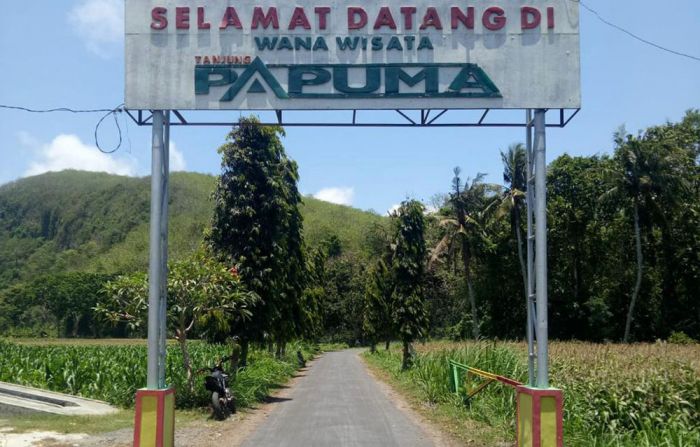 Perbaikan Rampung, Kini Jalan Menuju Papuma Mulus