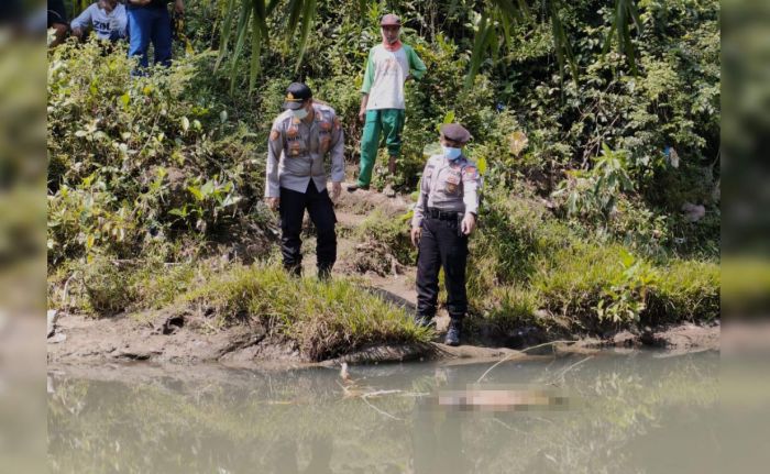 Mayat Mr. X Ditemukan Mengapung di Sungai Kaliputih Sukorejo Pasuruan Mayat Mr. X Ditemukan Mengapung di Sungai Kaliputih Sukorejo Pasuruan