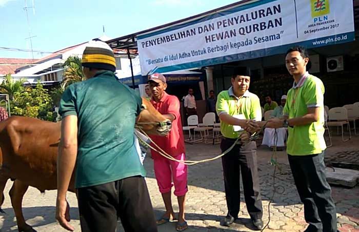 Sembelih 8 Sapi dan 5 Kambing, PLN Area Pamekasan Berbagi Daging Korban Sembelih 8 Sapi dan 5 Kambing, PLN Area Pamekasan Berbagi Daging Korban