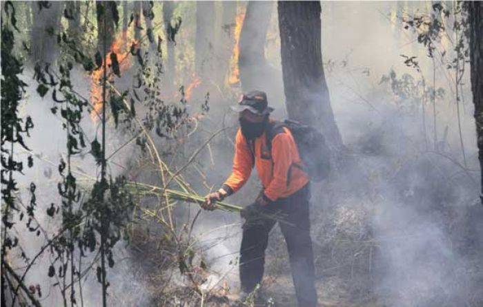 Kebakaran Semak Belukar Semeru, Puluhan Pendaki Dievakuasi Lewat Jalur Ayak-ayak Kebakaran Semak Belukar Semeru, Puluhan Pendaki Dievakuasi Lewat Jalur Ayak-ayak