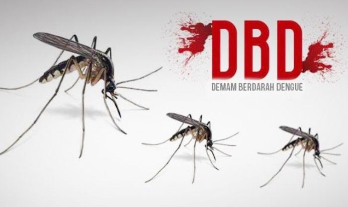 Kasus DBD di Bojonegoro Tinggi, Dinkes Imbau Warga Lakukan 3M Plus Kasus DBD di Bojonegoro Tinggi, Dinkes Imbau Warga Lakukan 3M Plus