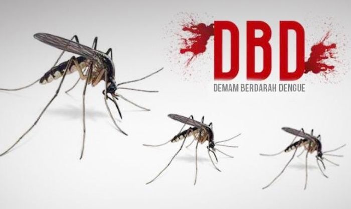 Kasus DBD di Bojonegoro Tinggi, Dinkes Imbau Warga Lakukan 3M Plus