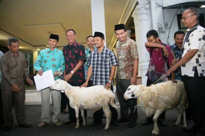 TPS Banyak Pemilih Dihadiahi Kambing