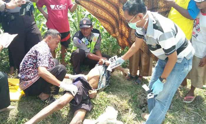 Hendak Mencari Rumput di Sawah, Kakek di Bangilan Tewas Hendak Mencari Rumput di Sawah, Kakek di Bangilan Tewas