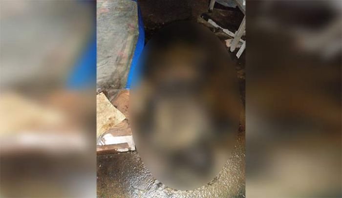 Nenek Sebatang Kara di Tarik Sidoarjo Tewas Membusuk Nenek Sebatang Kara di Tarik Sidoarjo Tewas Membusuk