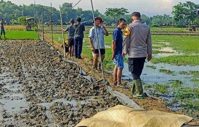 Lagi, Jebakan Tikus di Ngawi Telan Korban, Kali ini Pencari Belut Lagi, Jebakan Tikus di Ngawi Telan Korban, Kali ini Pencari Belut