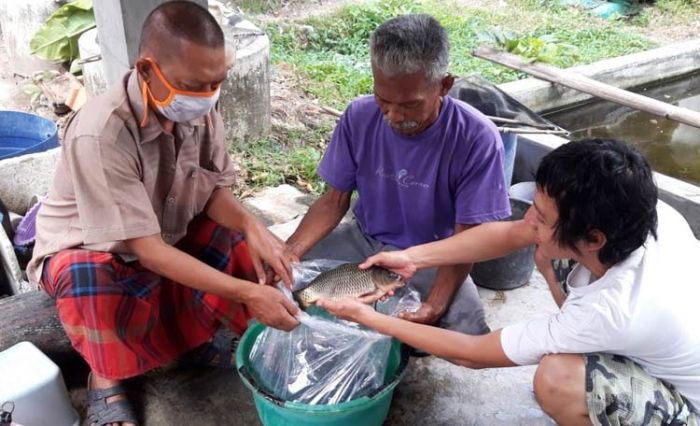 ​Dusun Surowono, Sentra Pembenihan Ikan di Kabupaten Kediri