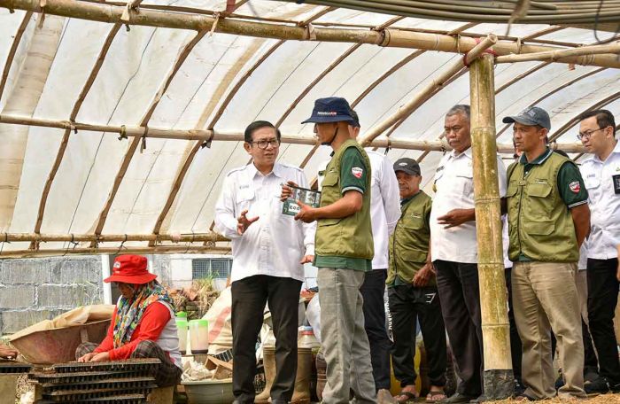 Petrokimia Gresik Wujudkan Desa Tawangargo Jadi Pusat Hortikultura Modern Petrokimia Gresik Wujudkan Desa Tawangargo Jadi Pusat Hortikultura Modern