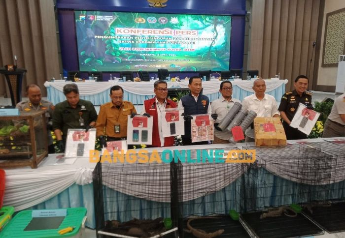 Sindikat Perdagangan Hewan Dilindungi ke Thailand Terbongkar, 11 Pelaku Dibekuk Polda Jatim