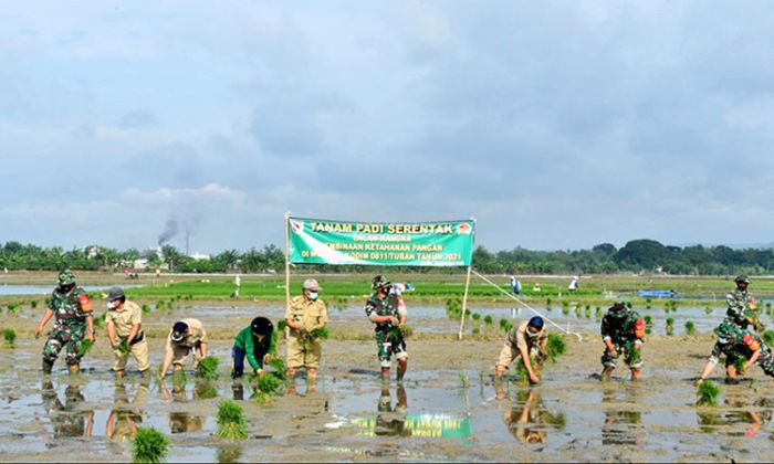 Pinta Jajarannya Terus Dampingi Petani, Upaya Kodim 0811/Tuban Wujudkan Ketahanan Pangan Nasional