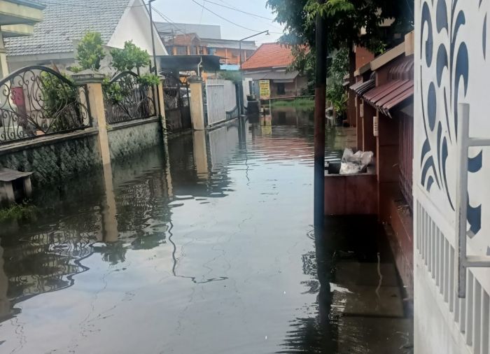 Banjir Rutin Akibat Hujan Lebat di Taman Sidoarjo Dikeluhkan Warga Tawangsari Banjir Rutin Akibat Hujan Lebat di Taman Sidoarjo Dikeluhkan Warga Tawangsari