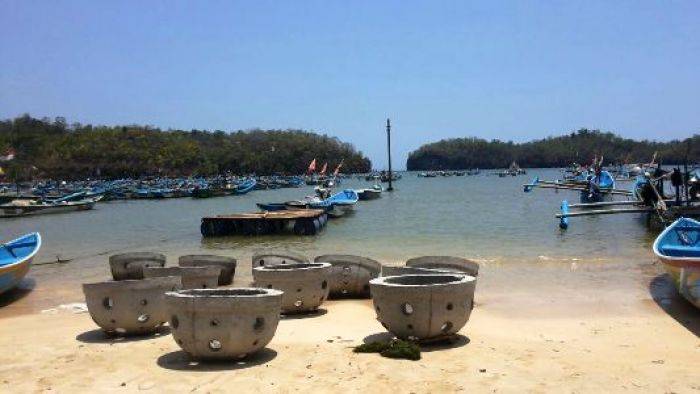 Selamatkan Terumbu Karang, DKP Pacitan Lakukan Konservasi Selamatkan Terumbu Karang, DKP Pacitan Lakukan Konservasi