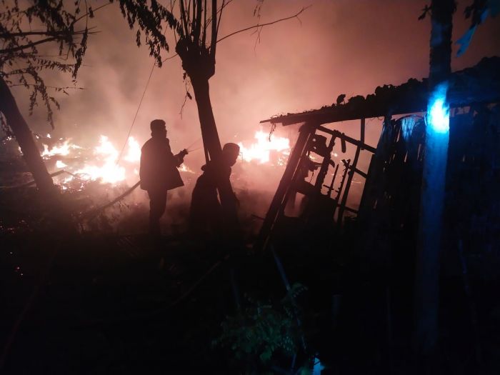 Kandang Peternakan Sapi dan Kambing di Benjeng Gresik Terbakar Hebat Tengah Malam Kandang Peternakan Sapi dan Kambing di Benjeng Gresik Terbakar Hebat Tengah Malam