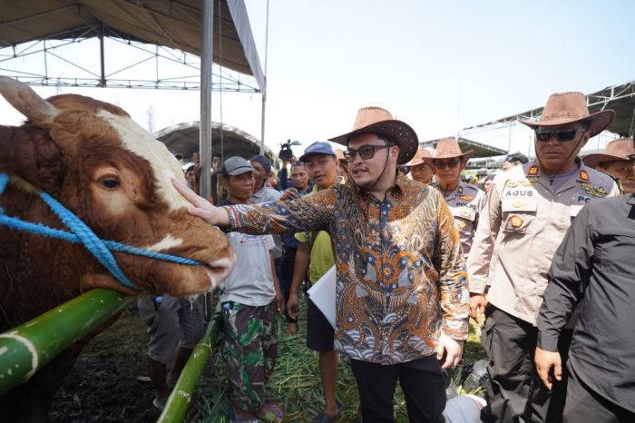 Bupati Dhito Targetkan Kontes Sapi Kediri Jadi yang Terbaik di Jatim
