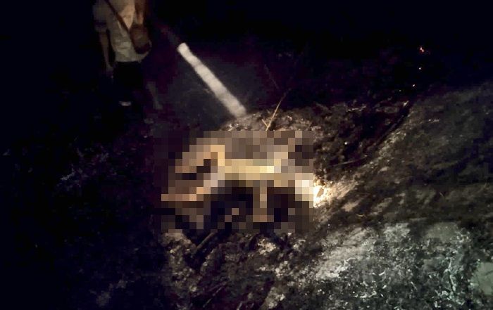 Tragis! Niat Bakar Sampah, Warga Medokan Semampir Surabaya Tewas Ikut Terbakar Tragis! Niat Bakar Sampah, Warga Medokan Semampir Surabaya Tewas Ikut Terbakar