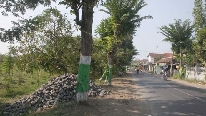 DLH Pasuruan Tambah Sarana Bermain di RTH Bangil DLH Pasuruan Tambah Sarana Bermain di RTH Bangil