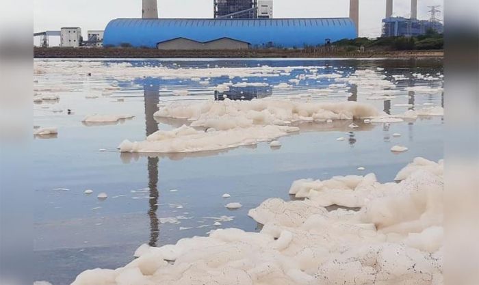 Busa Putih di Perairan Laut Paiton Resahkan Warga