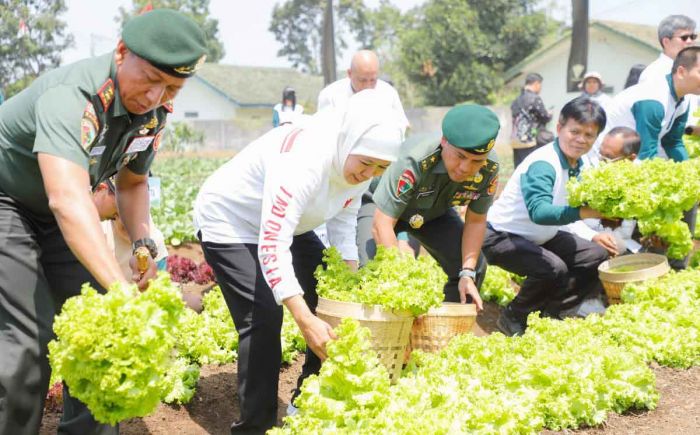 Bersama Pangdivif 2 Kostrad, Gubernur Khofifah Tanam 10 Ribu Pohon dan Panen Tanaman Holtikultura