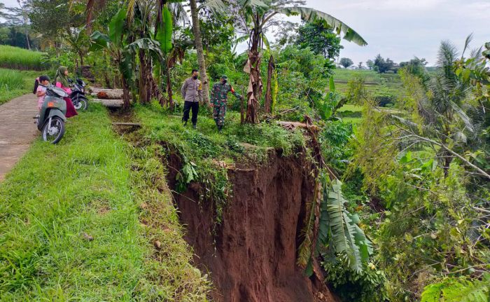 Tanah Longsor Terjadi di Dekat Jalan Penghubung Antar Dusun di Kabupaten Blitar Tanah Longsor Terjadi di Dekat Jalan Penghubung Antar Dusun di Kabupaten Blitar