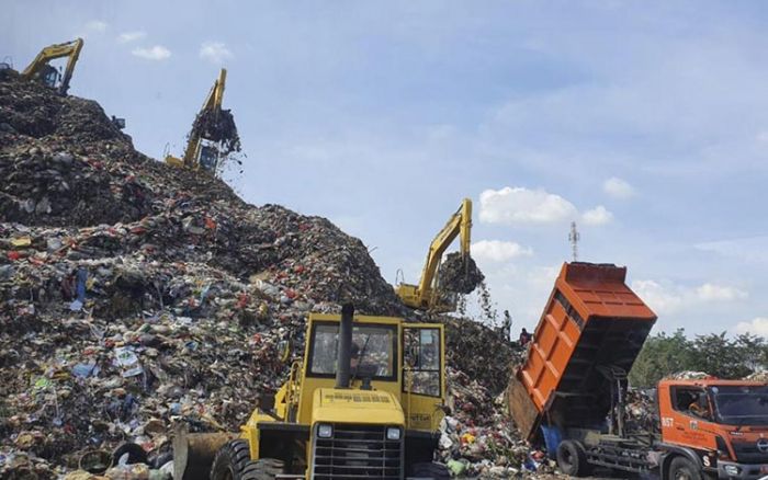 SIG Manfaatkan Biomassa sebagai Bahan Bakar Alternatif SIG Manfaatkan Biomassa sebagai Bahan Bakar Alternatif
